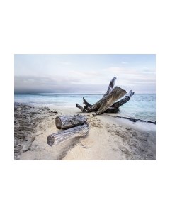 Картина Orlix Берег / CA-11969