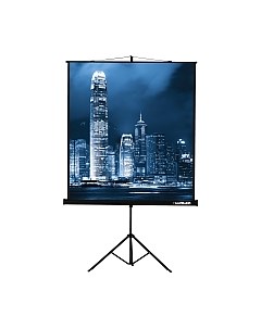 Проекционный экран Master View 220x220 / LMV-100111 Lumien