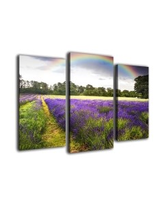 Картина модульная Arthata m-000241