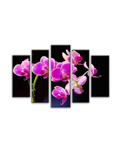 Картина модульная Arthata 5m-664