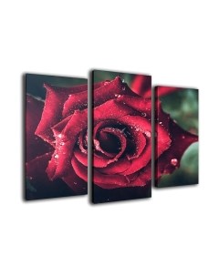 Картина модульная Arthata m-000478