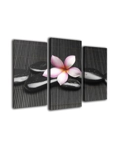 Картина модульная Arthata m-000560