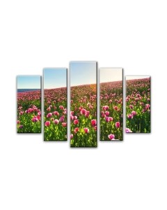 Картина модульная Arthata 5m-423