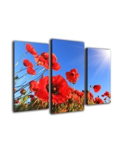 Картина модульная Arthata m-000501