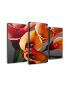 Картина модульная Arthata m-000302