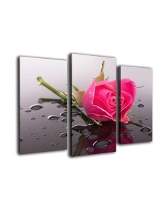 Картина модульная Arthata m-000194