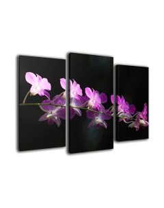 Картина модульная Arthata m-000125