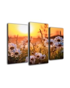 Картина модульная Arthata m-000451