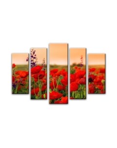 Картина модульная Arthata 5m-601