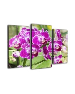 Картина модульная Arthata m-000578