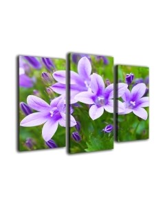 Картина модульная Arthata m-000522