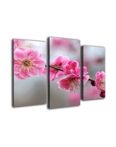 Картина модульная Arthata m-000296