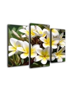 Картина модульная Arthata m-000351