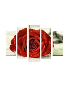 Картина модульная Arthata 5m-485