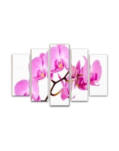 Картина модульная Arthata 5m-349