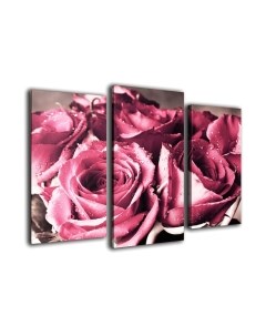 Картина модульная Arthata m-000468