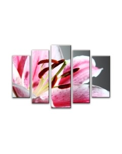 Картина модульная Arthata 5m-503