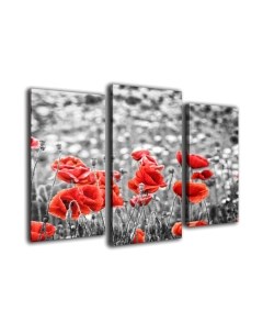 Картина модульная Arthata m-000132