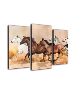 Картина модульная Arthata m-000320