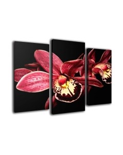 Картина модульная Arthata m-000329