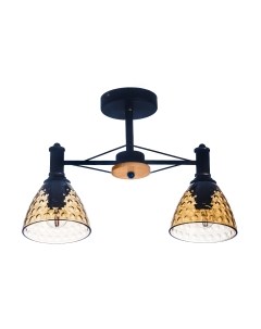 Потолочный светильник Aitin-Pro C1314/2 Aitin-pro