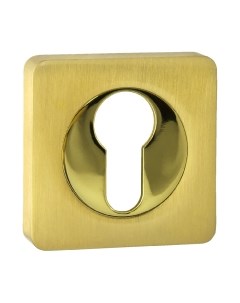 Накладка на цилиндр Ренц INET 02 SG/GP