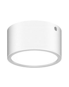 Светильник уличный Lightstar Zolla 380164