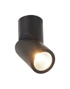 Потолочный светильник ST Luce ST650.442.10 St luce