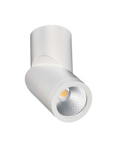 Потолочный светильник ST Luce ST650.542.10 St luce