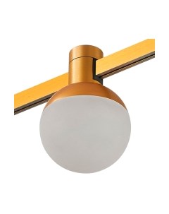 Трековый светильник ST Luce Farm ST815.206.05 St luce