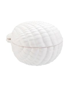 Органайзер для ватных дисков Axentia Ракушка 132825