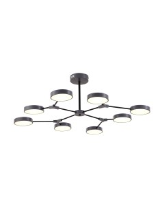 Люстра Evoluce SLE6003-702-08