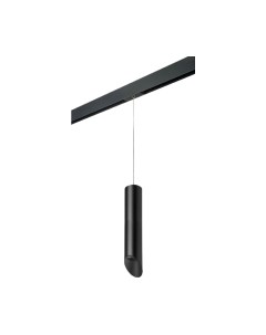 Трековый светильник Lightstar Rullo PRORP49737