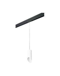 Трековый светильник Lightstar Rullo PRORP43636