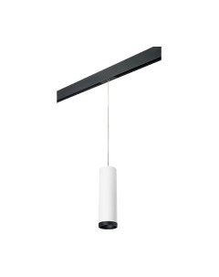 Трековый светильник Lightstar Rullo PRORP64963487