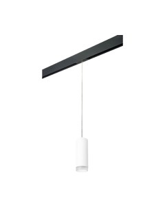 Трековый светильник Lightstar Rullo PRORP48630