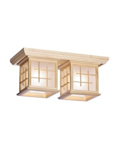 Потолочный светильник Velante 592-717-02