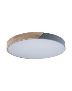 Потолочный светильник Loftit Axel 10004/36 Grey