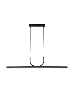 Потолочный светильник FAVOURITE Raya 4096-1P Favourite