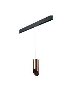 Трековый светильник Lightstar Rullo PRORP43030