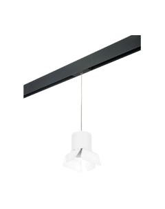 Трековый светильник Lightstar Rullo PRORP3486486