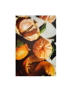 Картина Stamion Мандарины