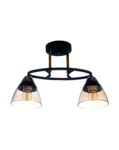 Потолочный светильник Aitin-Pro C1308/2 Aitin-pro