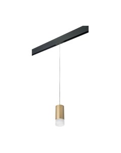 Трековый светильник Lightstar Rullo PRORP440131