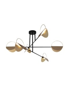 Потолочный светильник Евросвет 70148/6