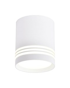 Потолочный светильник FAVOURITE 3065-1C Favourite