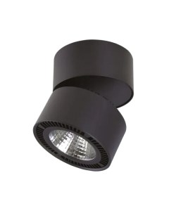Точечный светильник Lightstar Forte Muro 214817