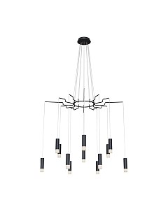 Люстра Maytoni Davida MOD035PL-12B