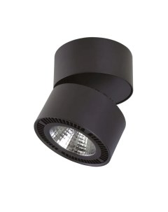 Точечный светильник Lightstar Forte Muro 214837