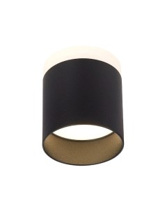 Потолочный светильник ST Luce Panaggio ST102.442.12 St luce